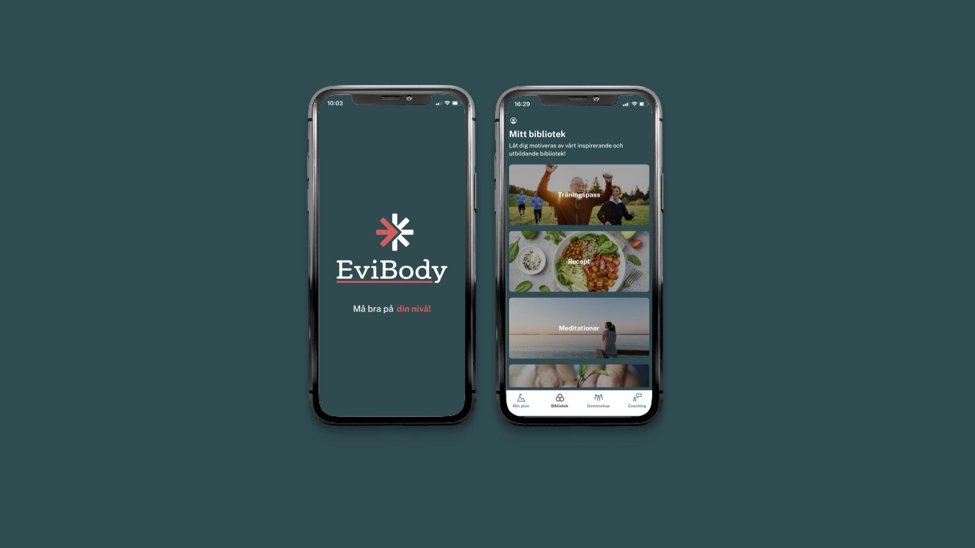 Evibody
